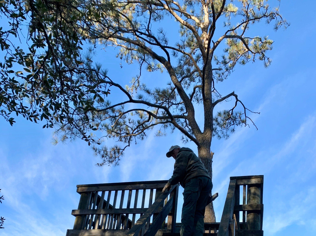 False Cape State Park-弗吉尼亚海滩必去景点