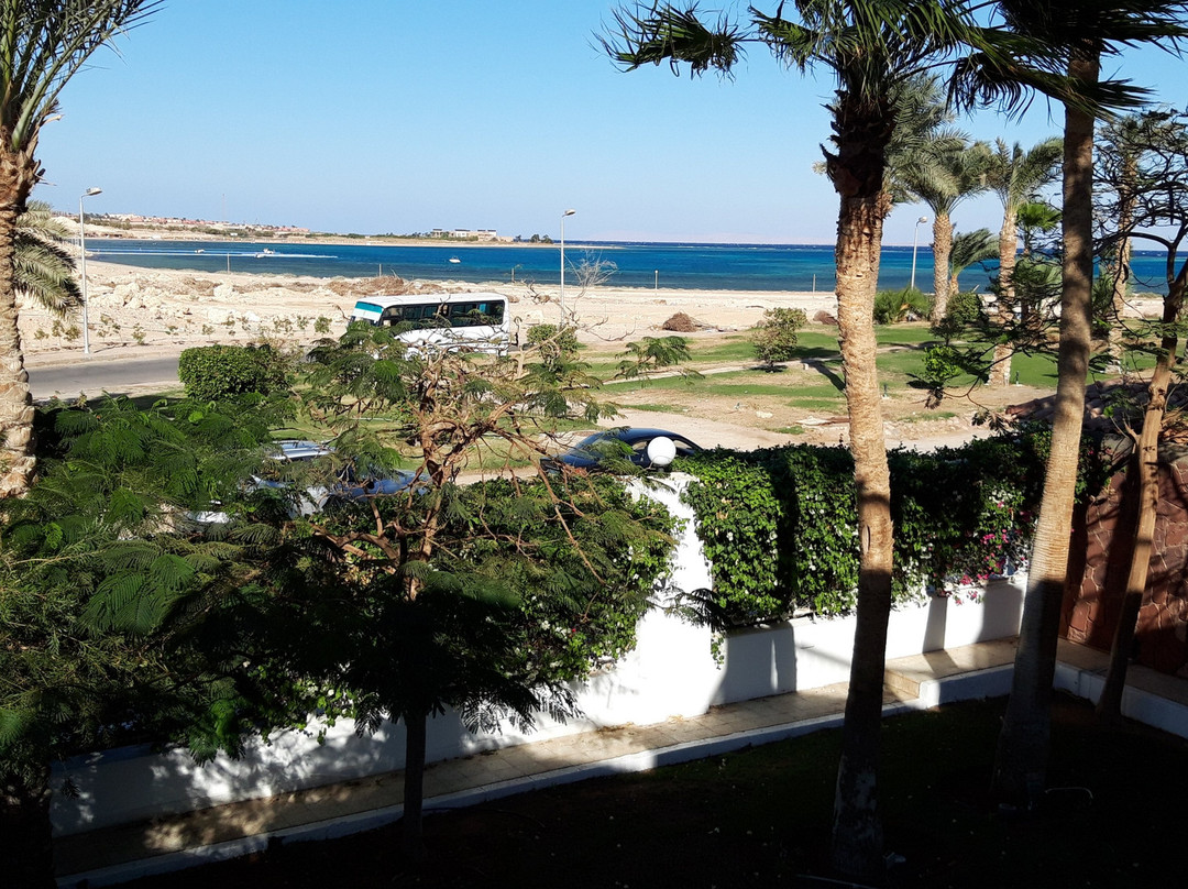 沙姆沙伊赫巴伦棕榈成人度假酒店主图