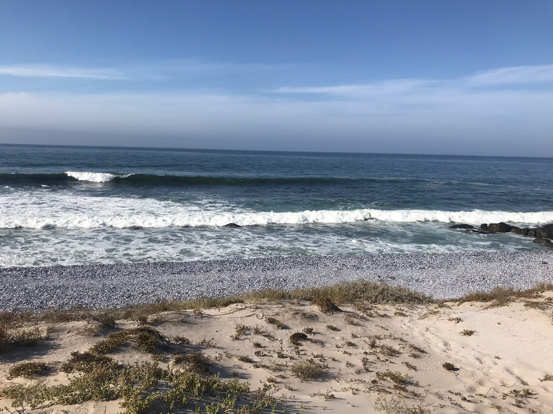 Oystercatcher Lodge主图