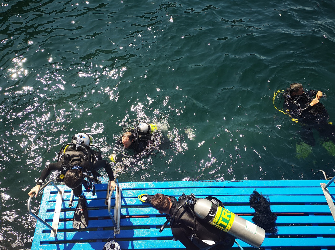 Scuba Libre Adventures景点图片