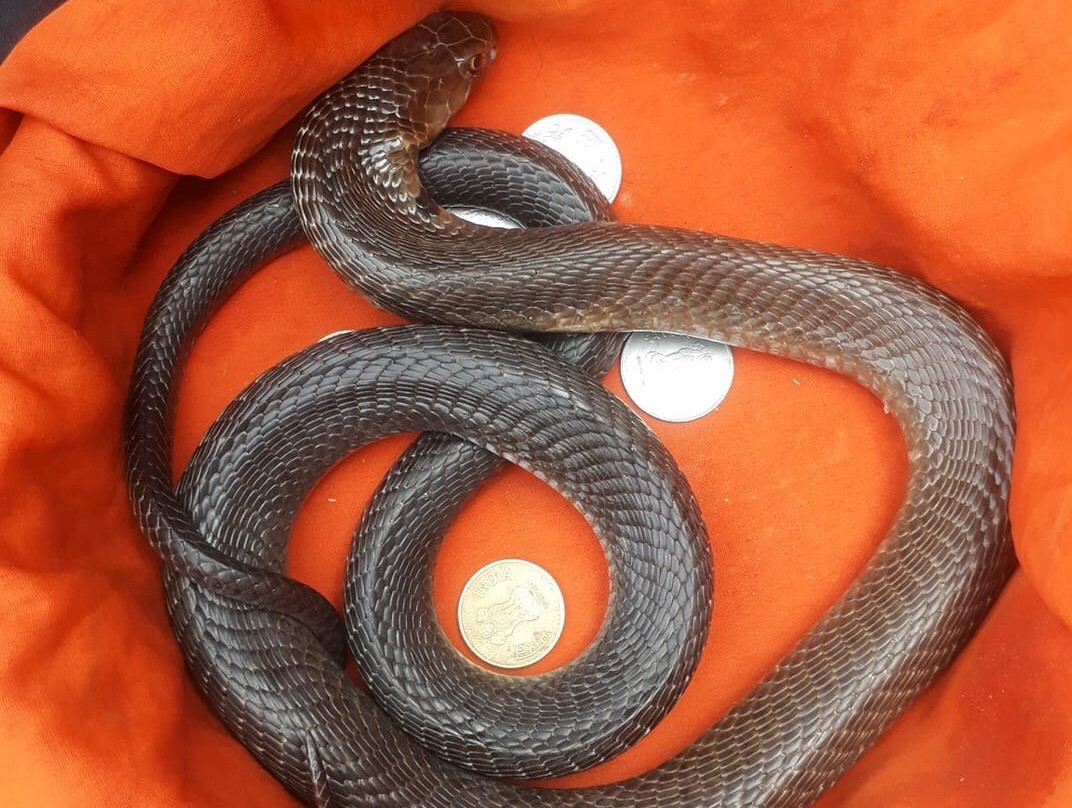 Voyages Inde Sur Mesure-新德里必去景点