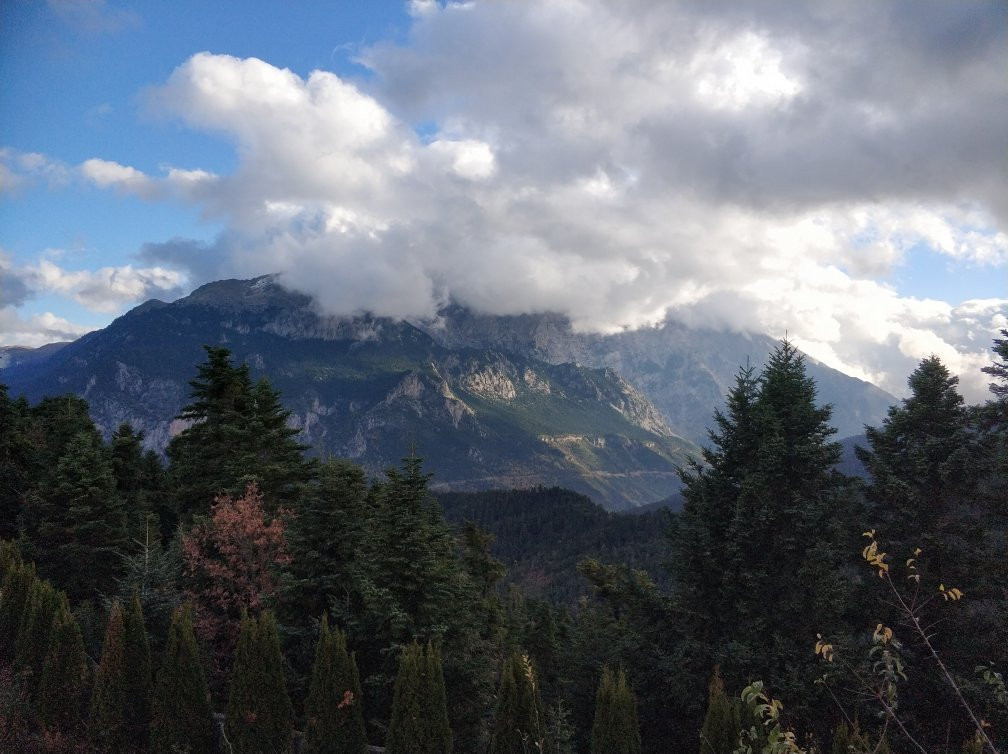 Hotel Vardousia主图