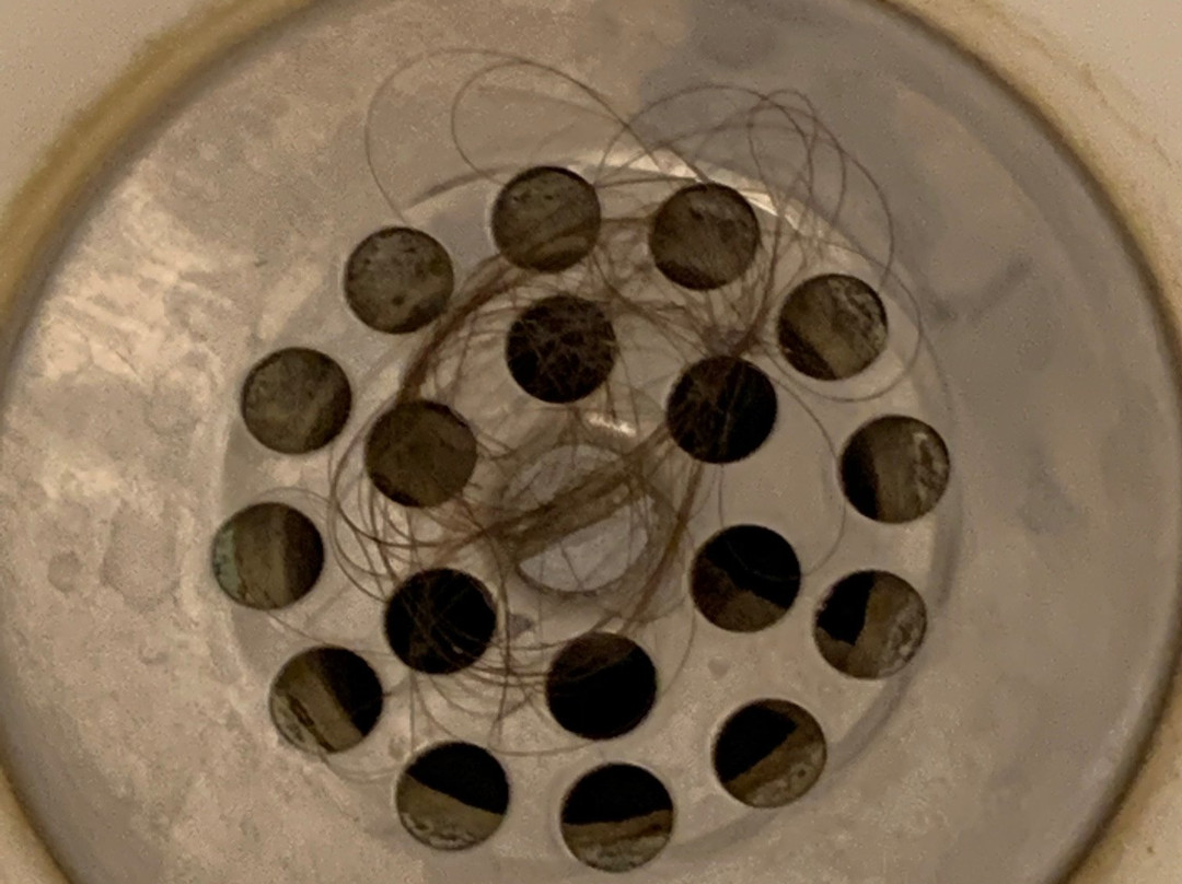 Comfort Inn & Suites主图