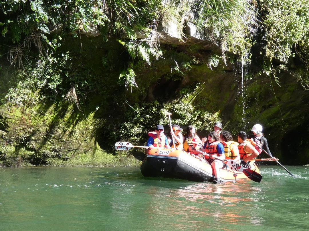 Raft Fish NZ景点图片