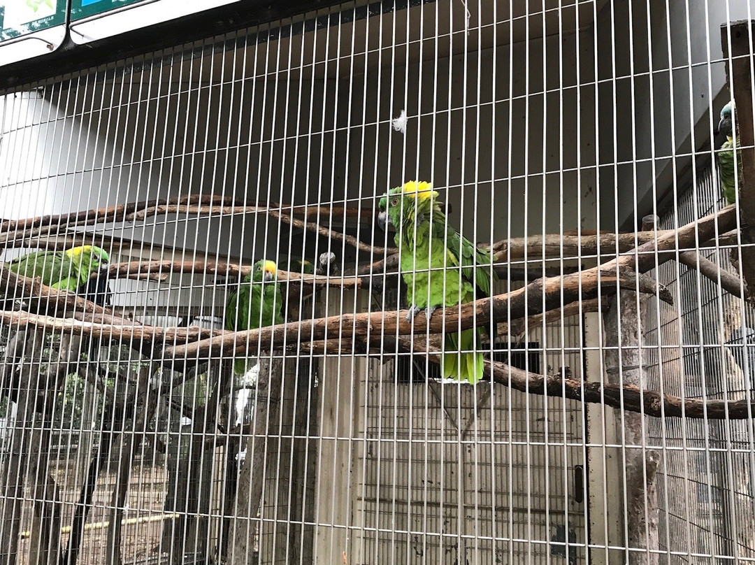 Yumemigasaki Zoological Park景点图片