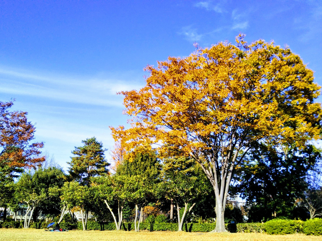 Higashimurayama Central Park-东村山市必去景点