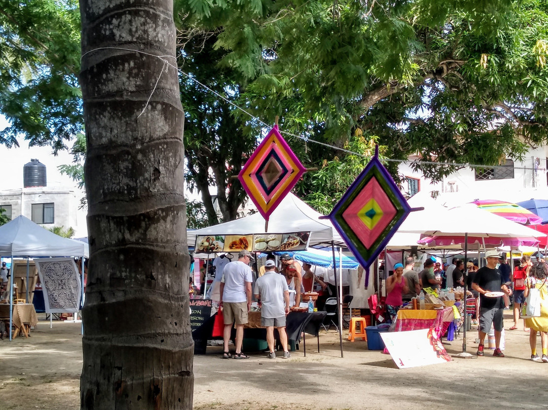 Sayulita Farmers Market/Mercado del Pueblo-利他必去景点