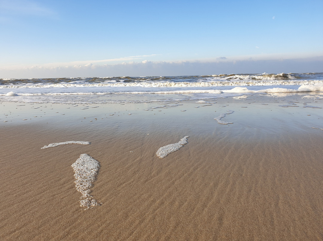 het strand van Bergen aan Zee景点图片