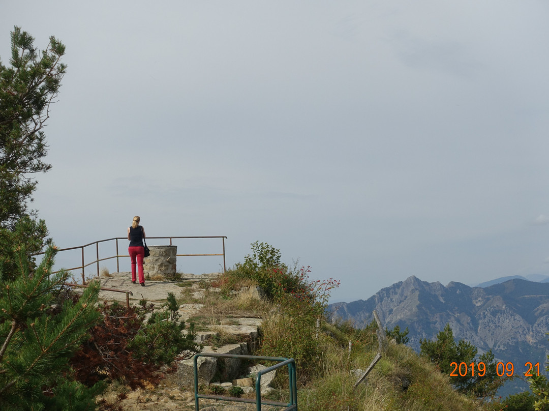 Col de Turini景点图片