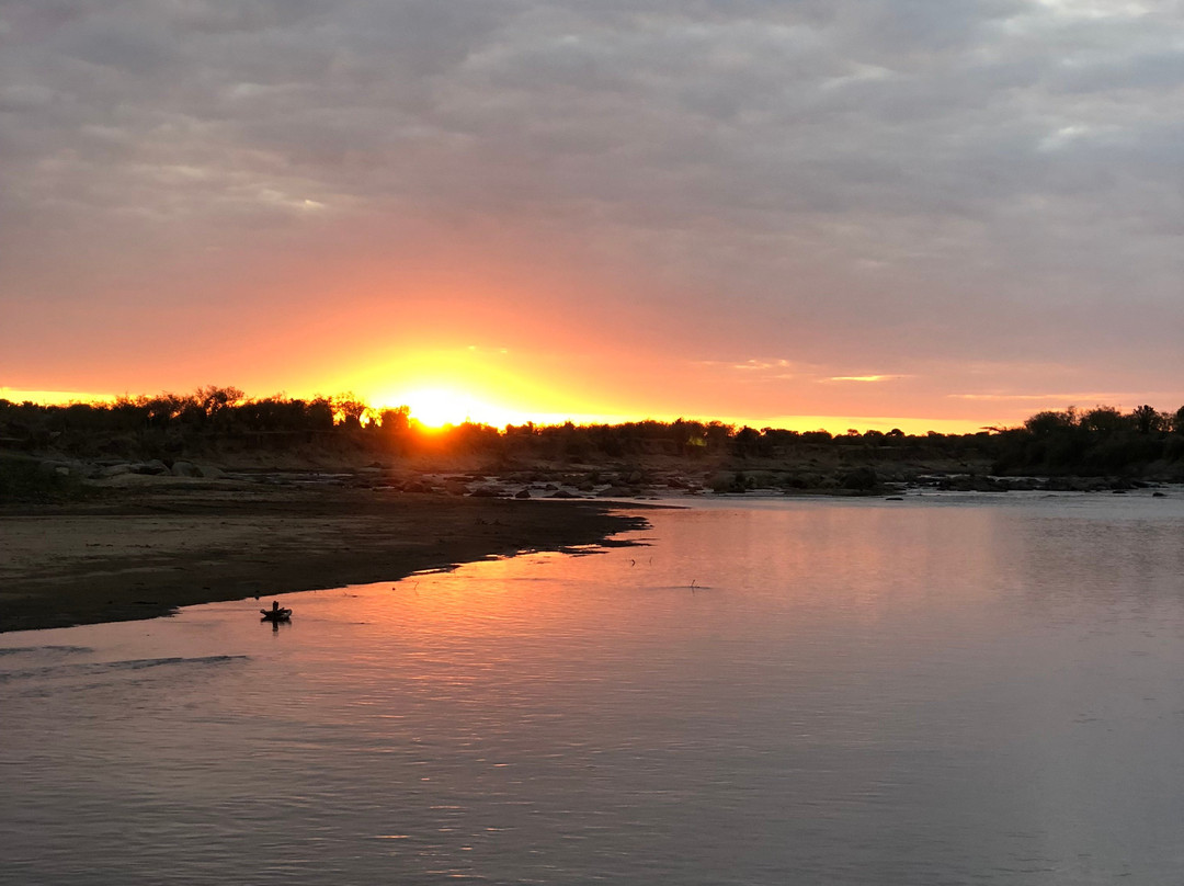 Mara River-塞伦盖蒂国家公园必去景点