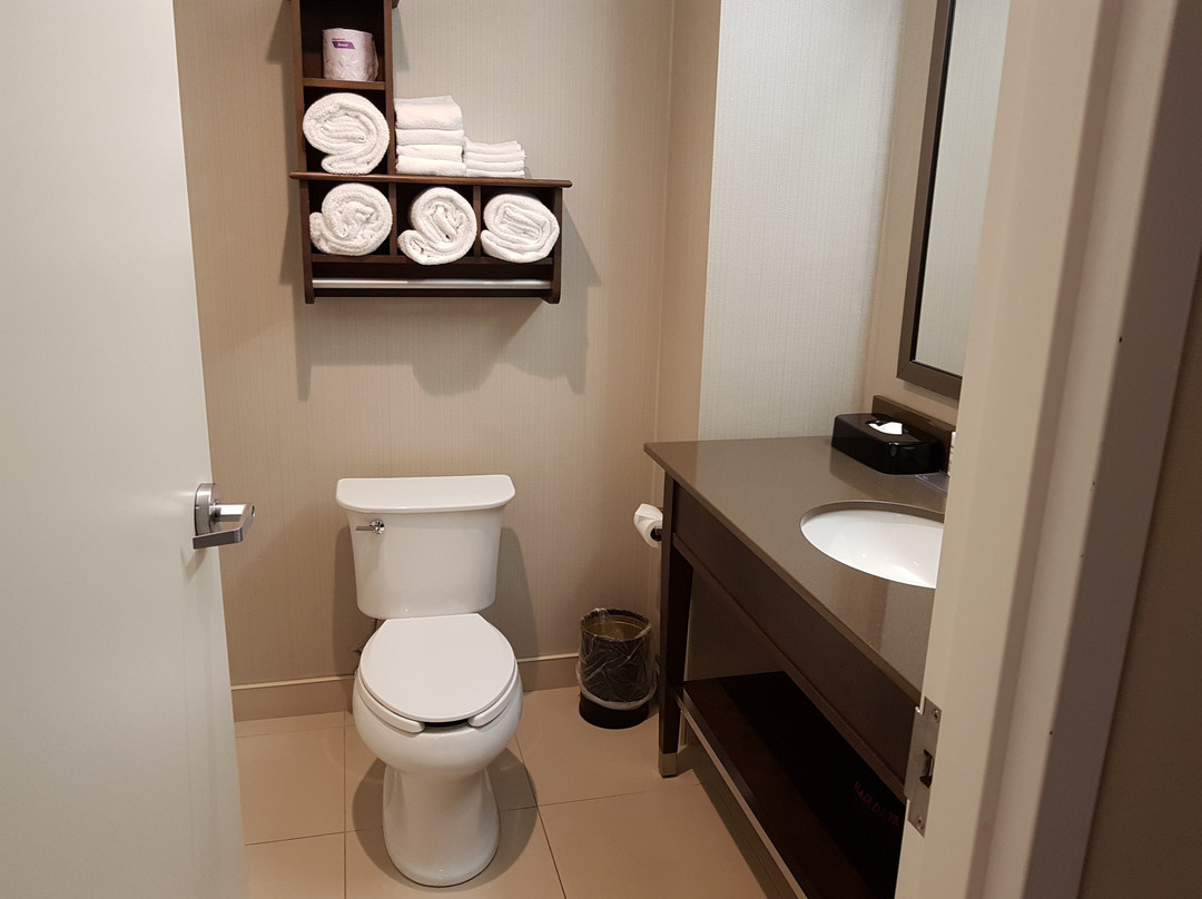 Hampton Inn by Hilton Ottawa Airport主图