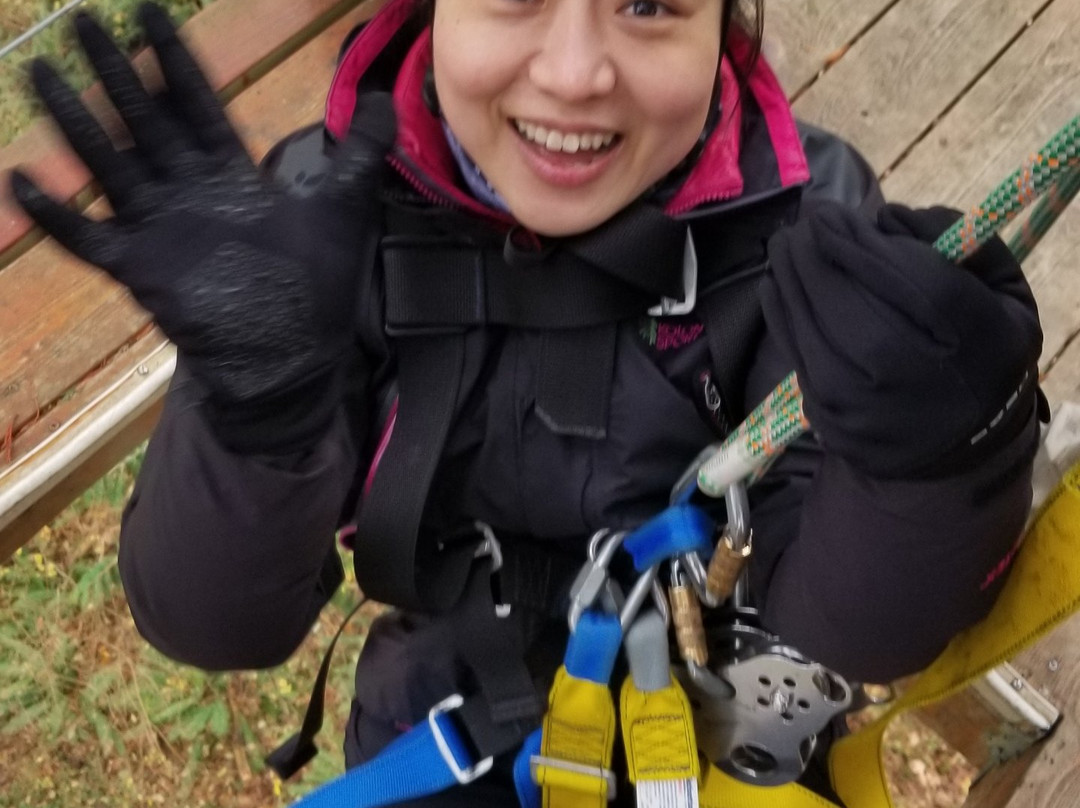 Canopy Tours Northwest景点图片