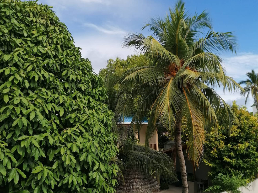 Acqua Blu Rasdhoo主图