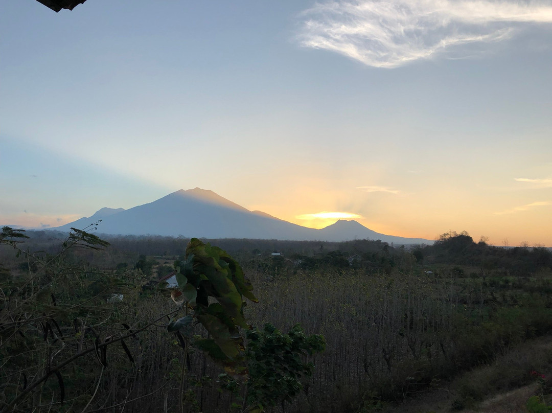 邦斯林微风酒店主图
