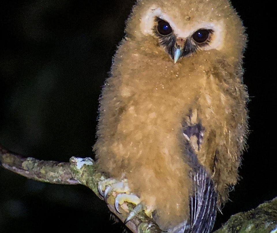 Monteverde Wildlife Refuge景点图片