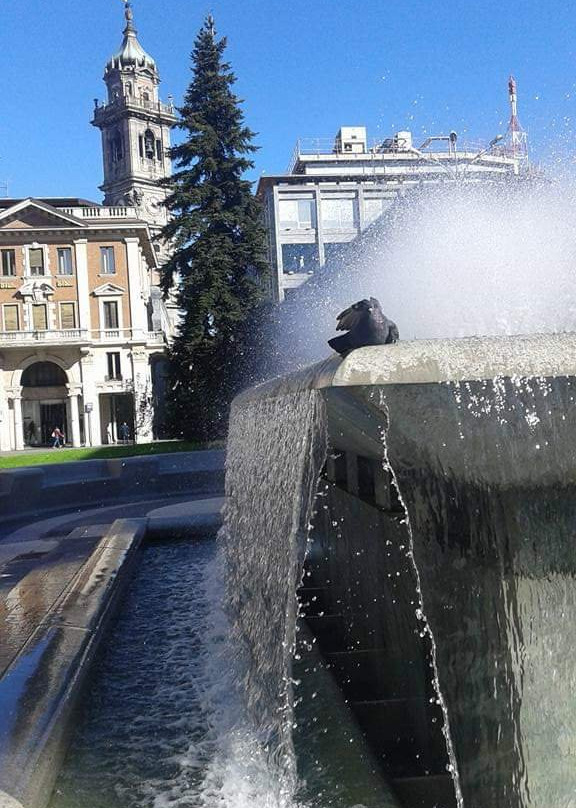 Varese City Hall景点图片