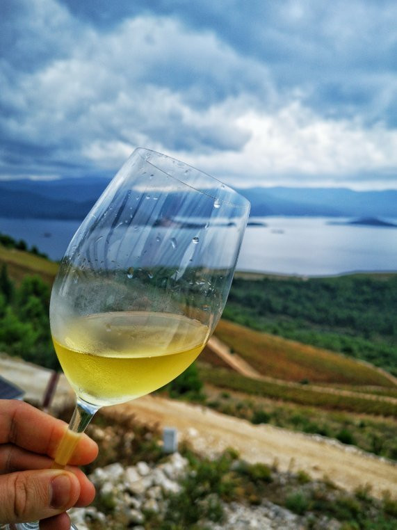 Winery Rizman景点图片