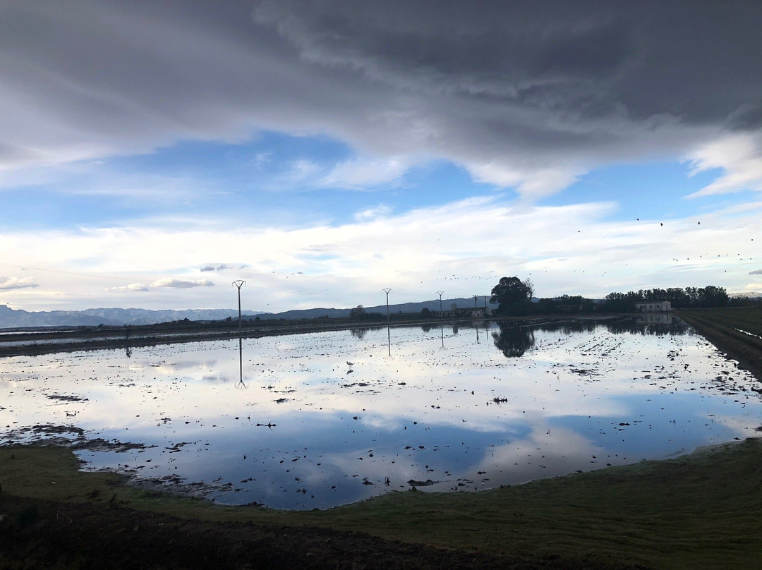 Parc Natural del Delta de l'Ebre-加泰罗尼亚必去景点