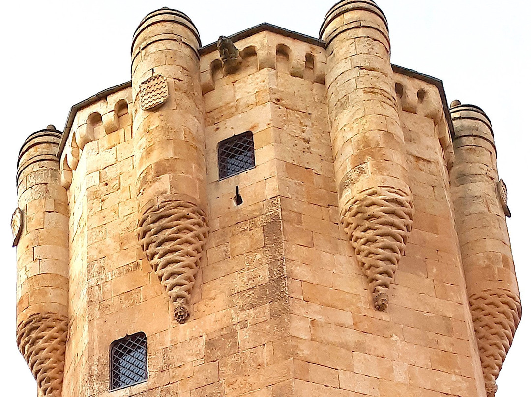 Torre del Clavero-萨拉曼卡必去景点