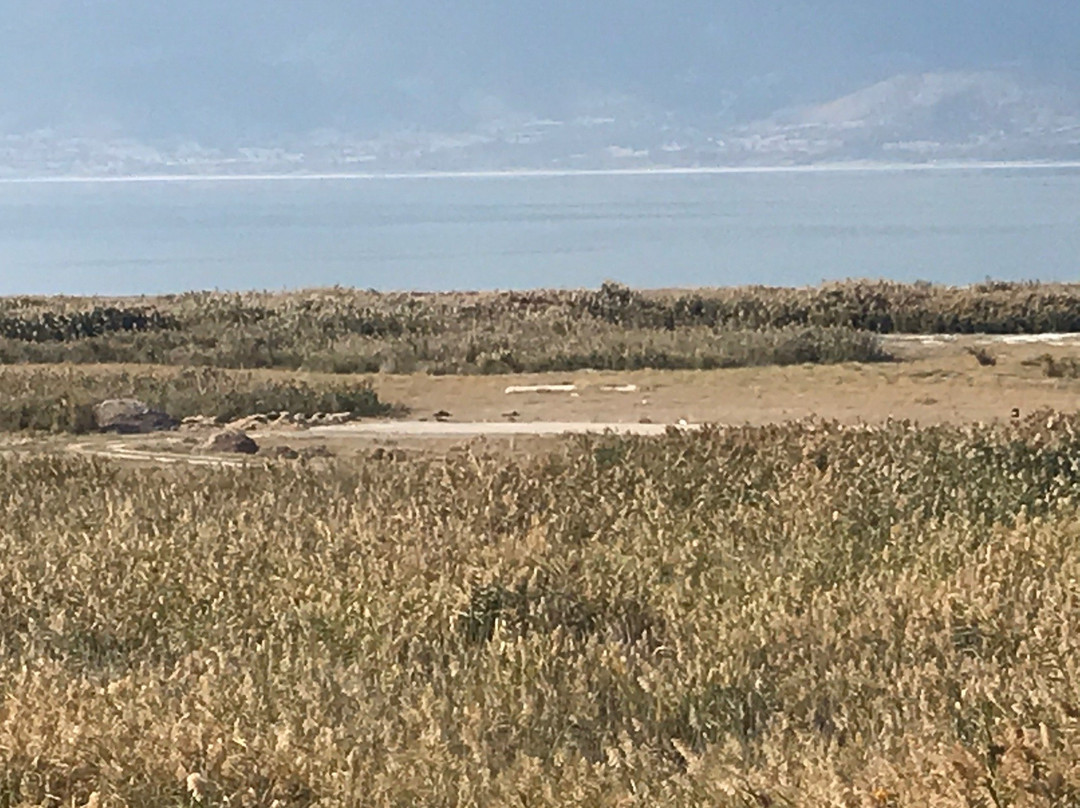 Burdur Golu Kus Cenneti-Burdur必去景点