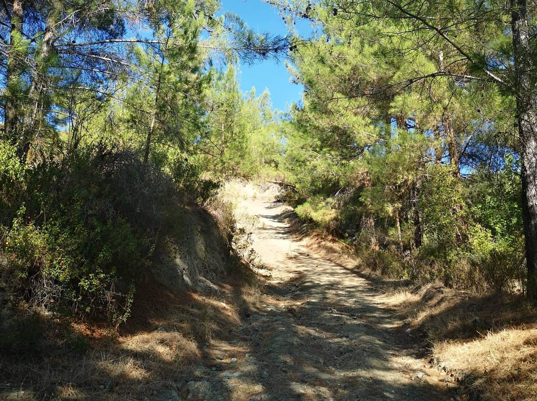 Milia Medieval Bridge-帕拉翠斯必去景点