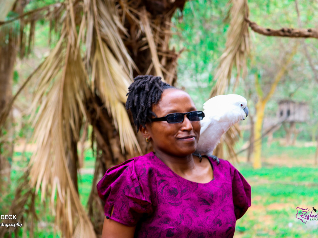 Ol Jogi Wildlife Conservancy-南由基必去景点