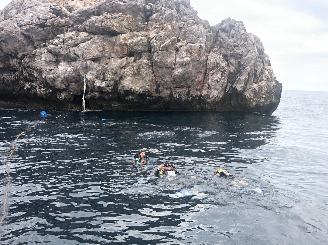 Plongee Koh Phangan Diving景点图片