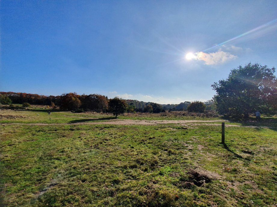 Highgate Common Wildlife Reserve-Wombourne必去景点