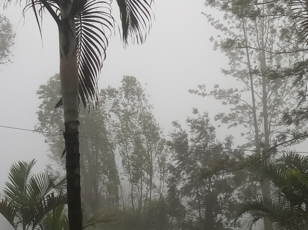 Treebo Trend Hotel Silver Inn主图