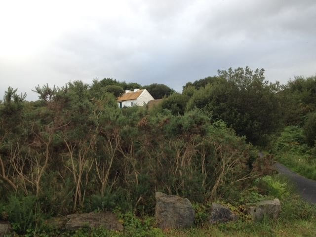 Ionad Culturtha an Phiarsaigh, Conamara景点图片
