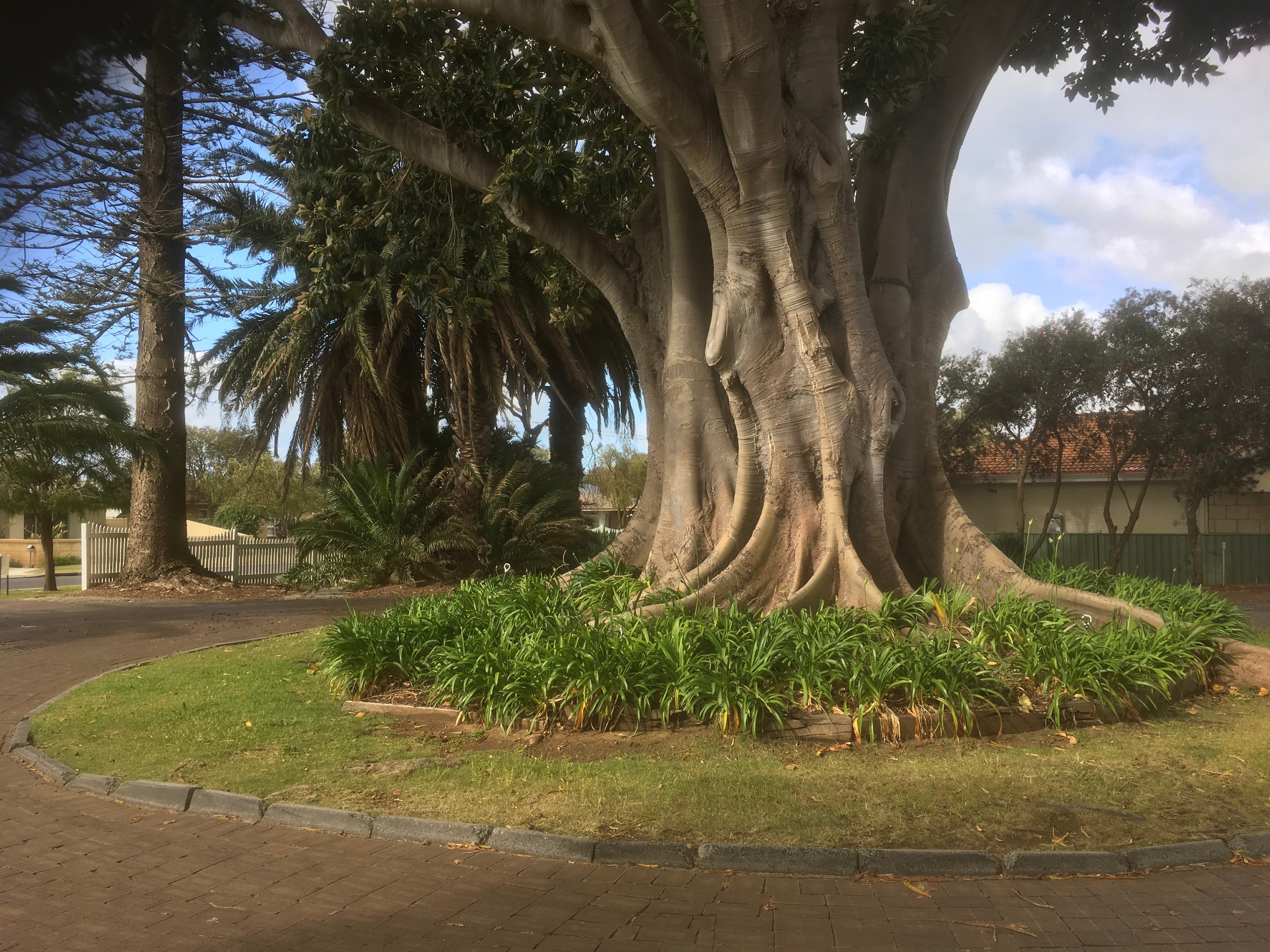 Busselton Ithaca Motel-浴室
