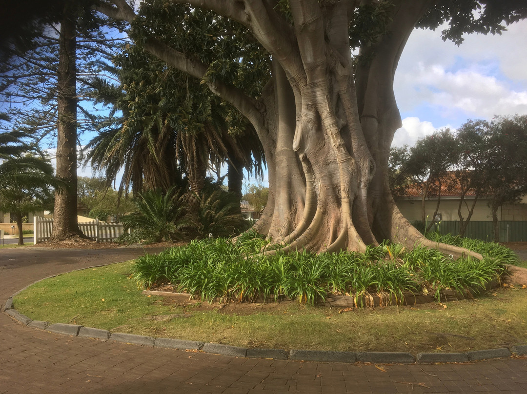 Busselton Ithaca Motel主图