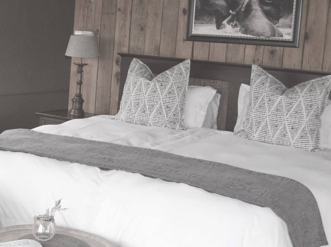 Barefoot Addo Elephant Lodge-Addo Elephant National Park必去景点