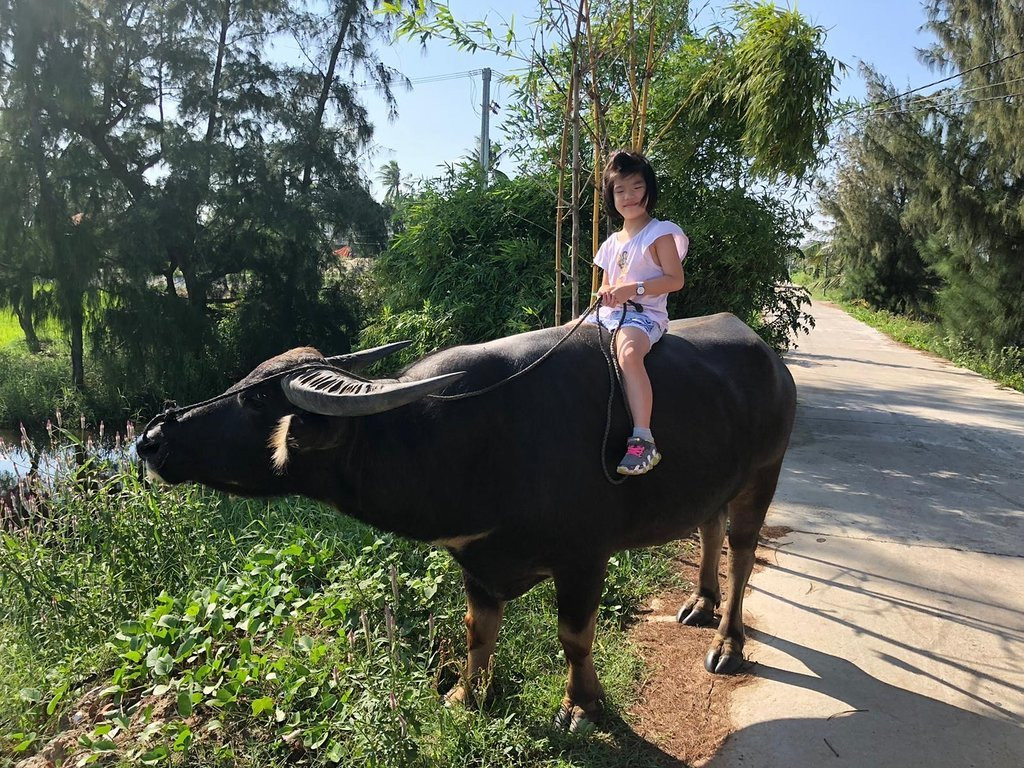 Hoi An Cham Cham Travel-会安必去景点