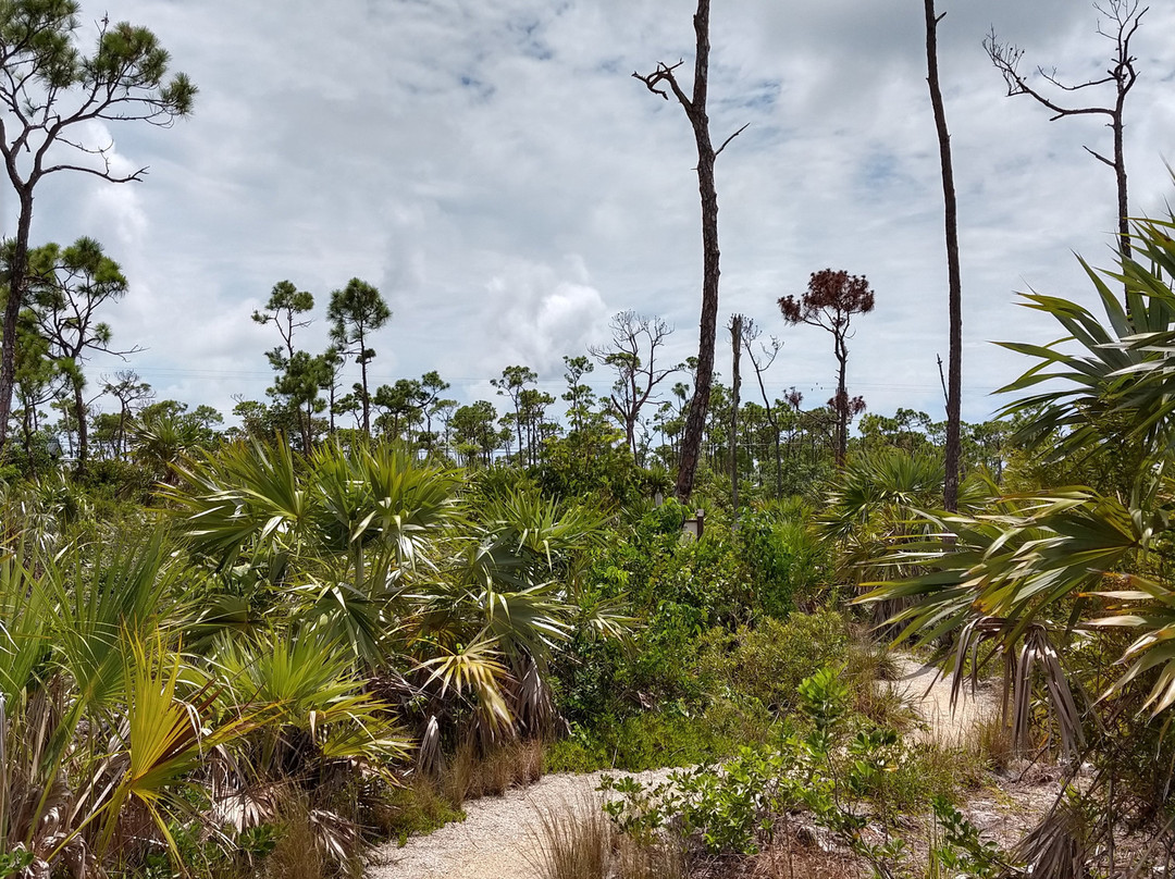 Jack C. Watson Nature Trail