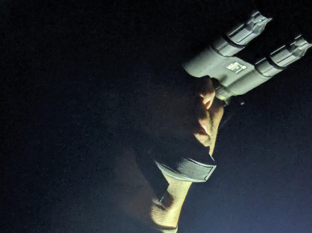 Magnetic Island Night Vision Tours-Magnetic Island必去景点