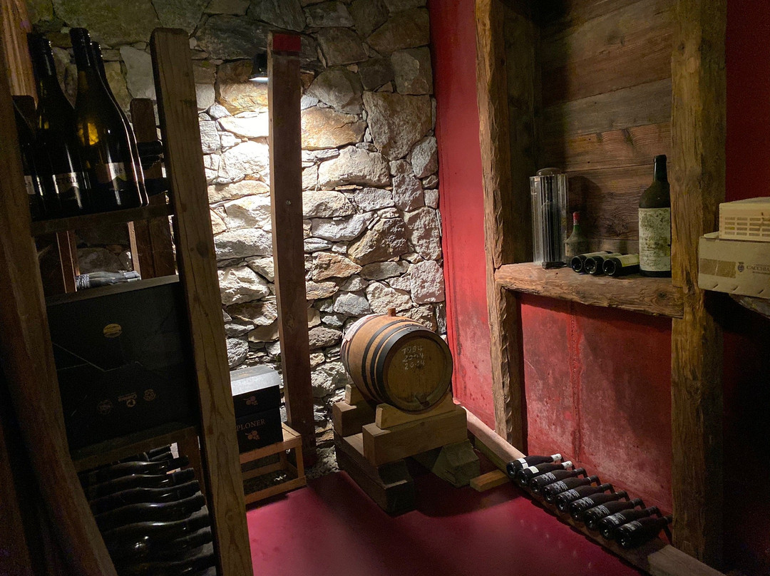 Weingut Plonerhof景点图片