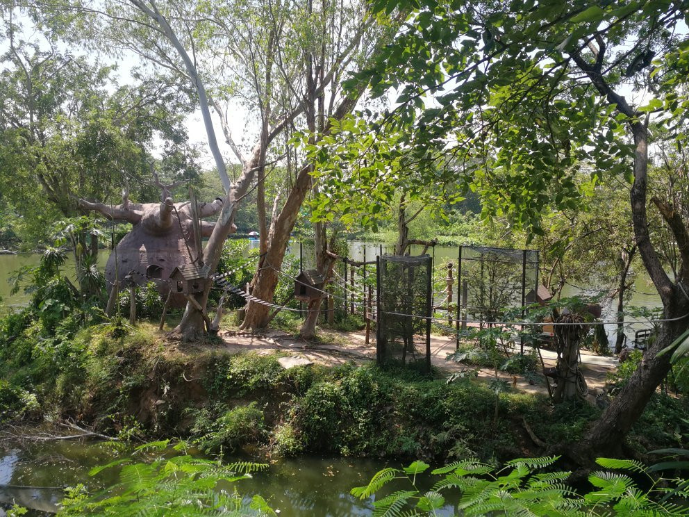 绿山动物园景点图片
