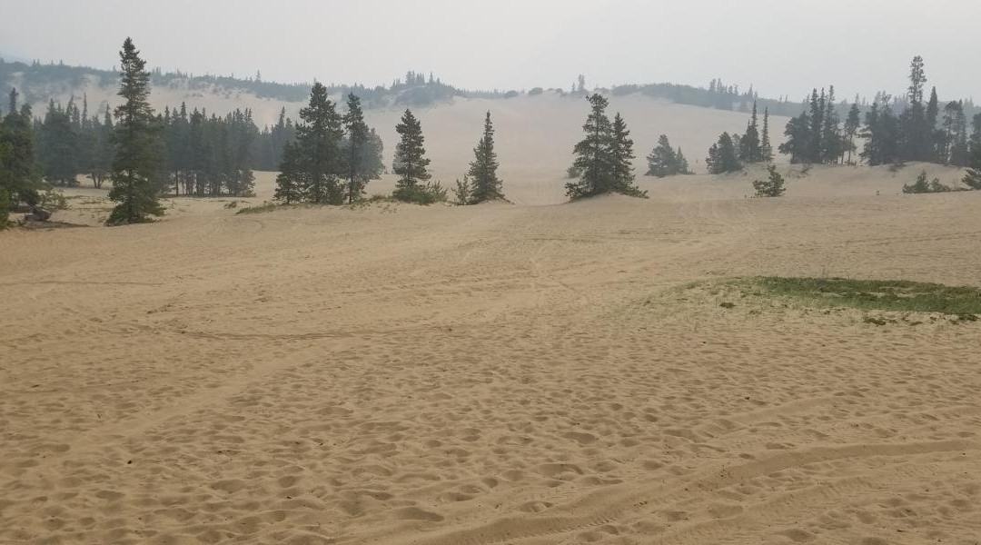 Carcross Desert-Carcross必去景点