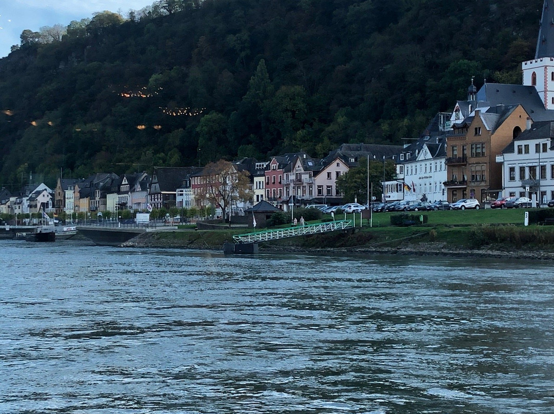 Rhine River Day Cruises-莱茵河畔宾根必去景点