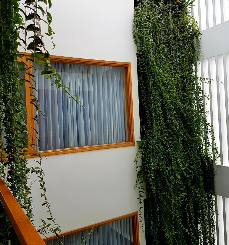 Capital O 1010 Pandora Boutique Villa主图