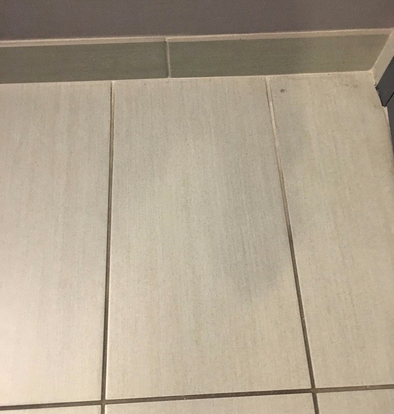 Le Méridien Tampa, The Courthouse主图