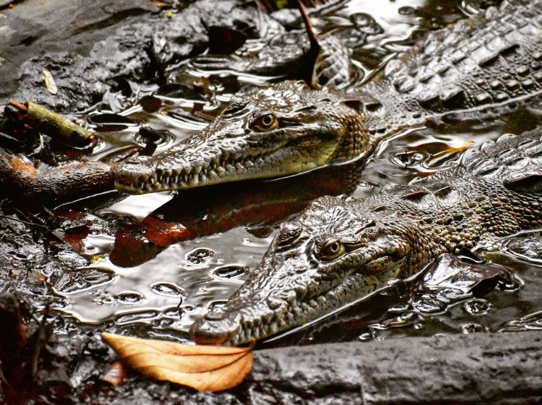 The Corner Airbnb主图