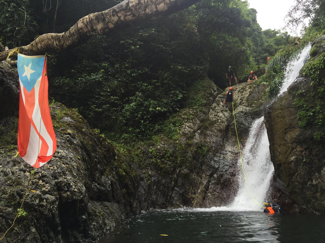 Adventure Discovery Puerto Rico景点图片