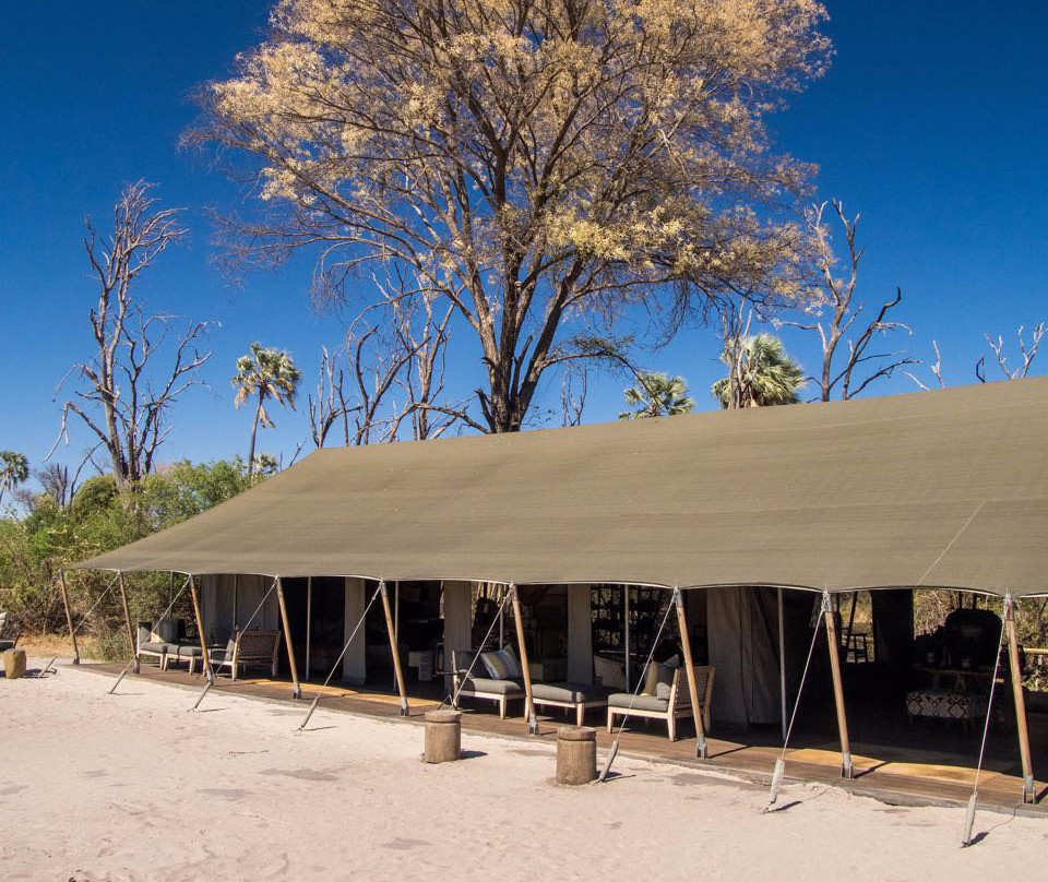 Gomoti Plains Camp - Machaba Safaris主图