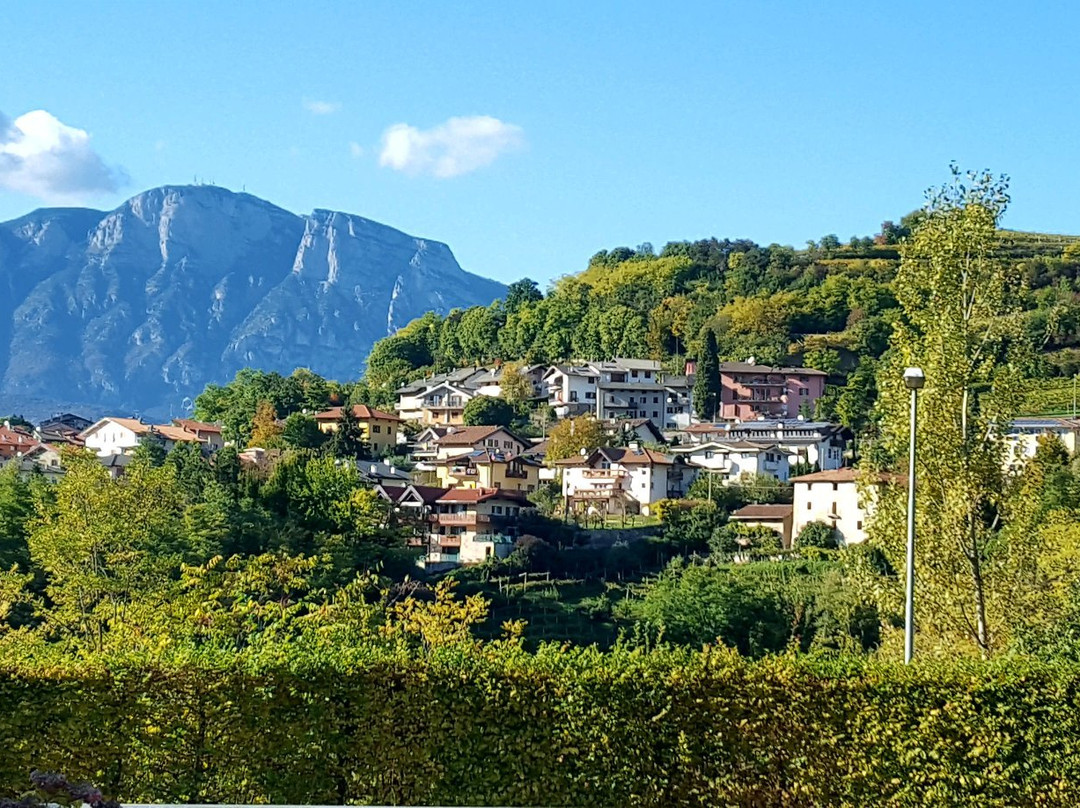 Agritur Ponte Alto主图