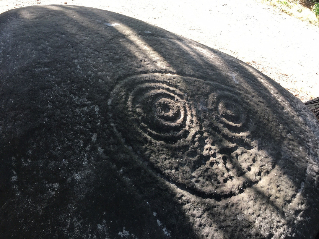 Drummond Park景点图片