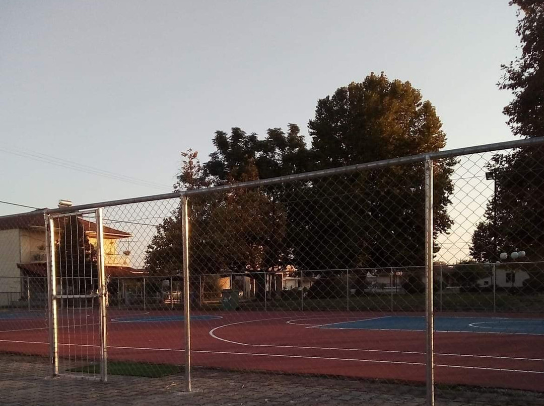 Basketakia
