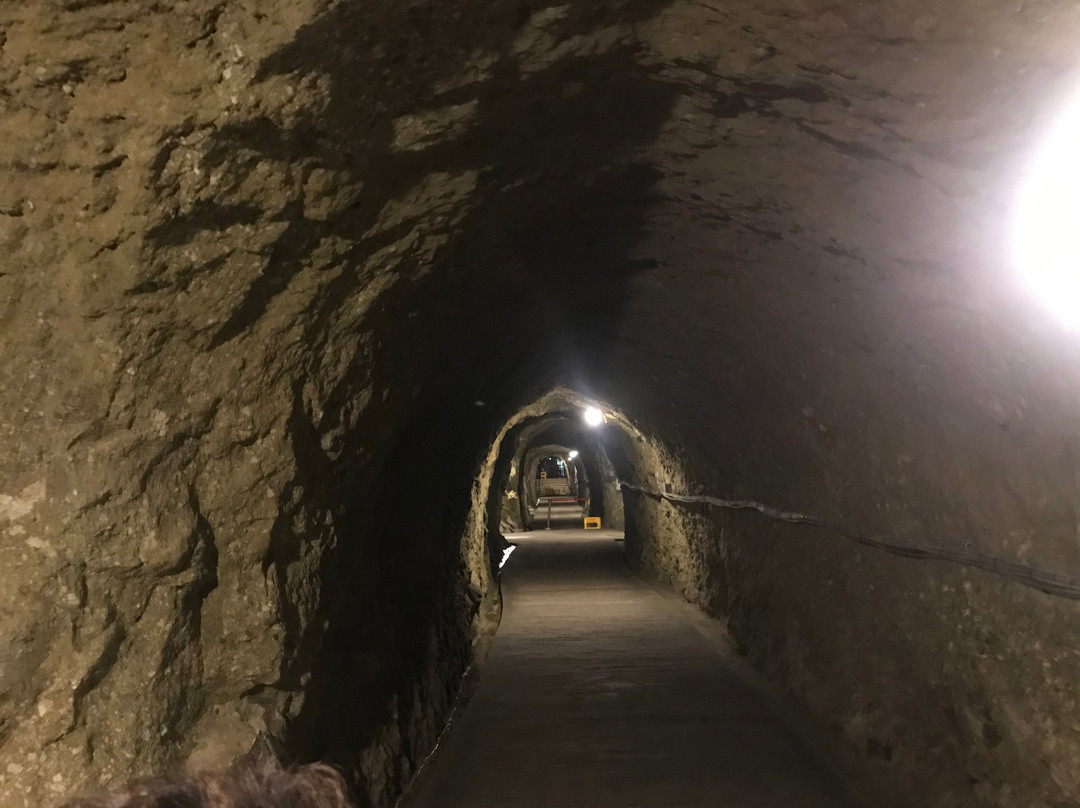 Shimazaki Sake Brewery-那须乌山市必去景点