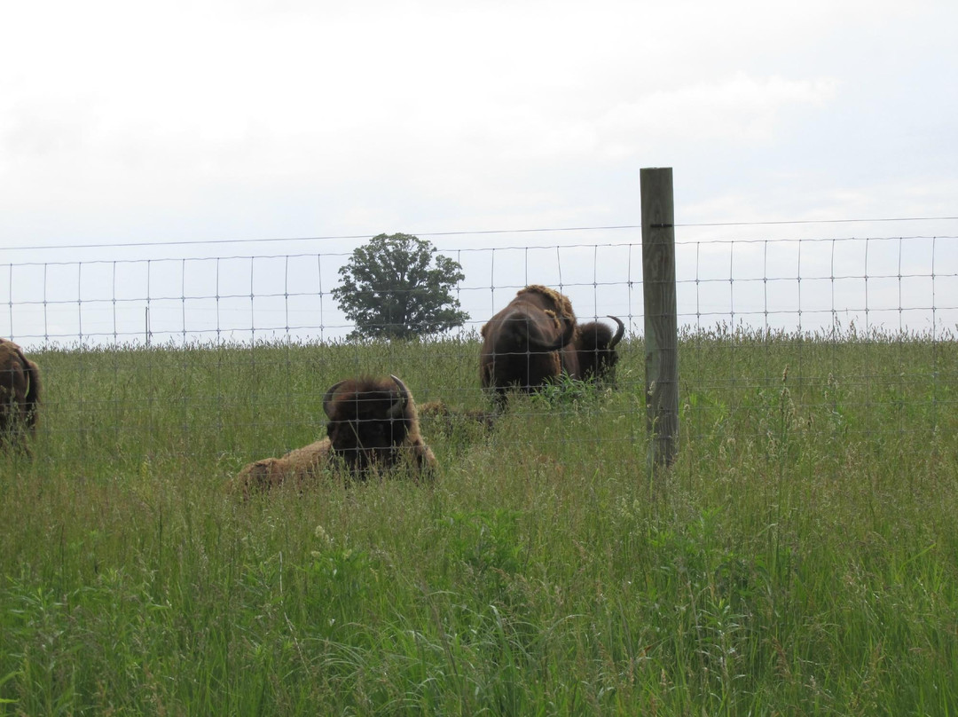 London旅游景点-Battelle Darby Creek